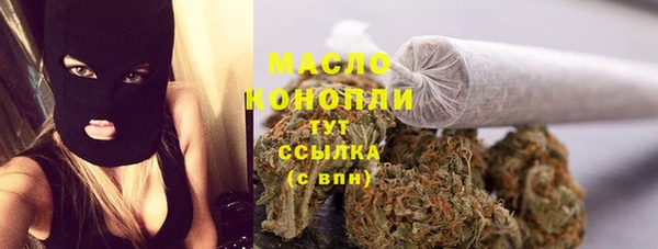 индика Аркадак