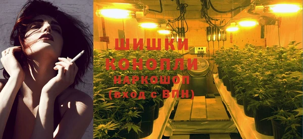 индика Аркадак