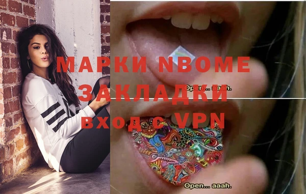 индика Аркадак