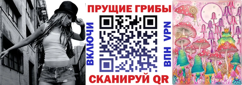 Псилоцибиновые грибы MAGIC MUSHROOMS  блэк спрут маркетплейс  Камышлов  что такое наркотик 